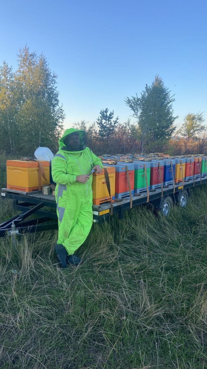 Константин Кожанов рядом с ульями семейной пасеки