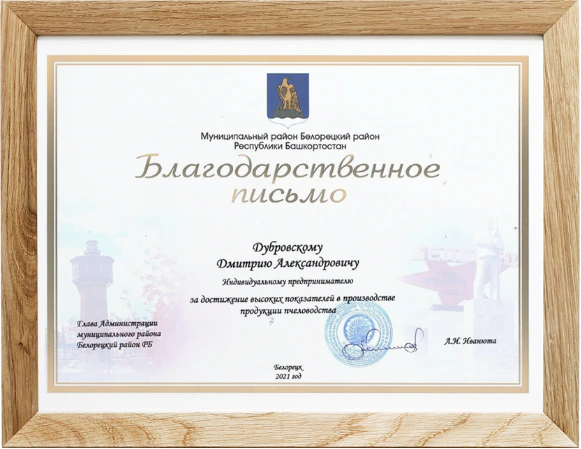 Благодарственное письмо Дмитрию Дубровскому