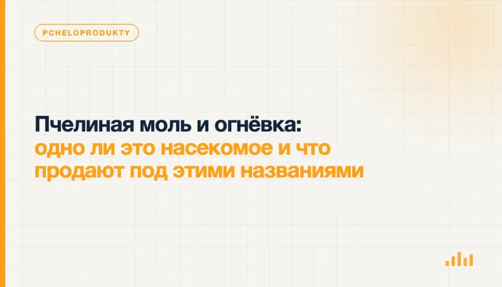 Пчелиная моль и огнёвка: одно ли это насекомое и что продают под этими названиями