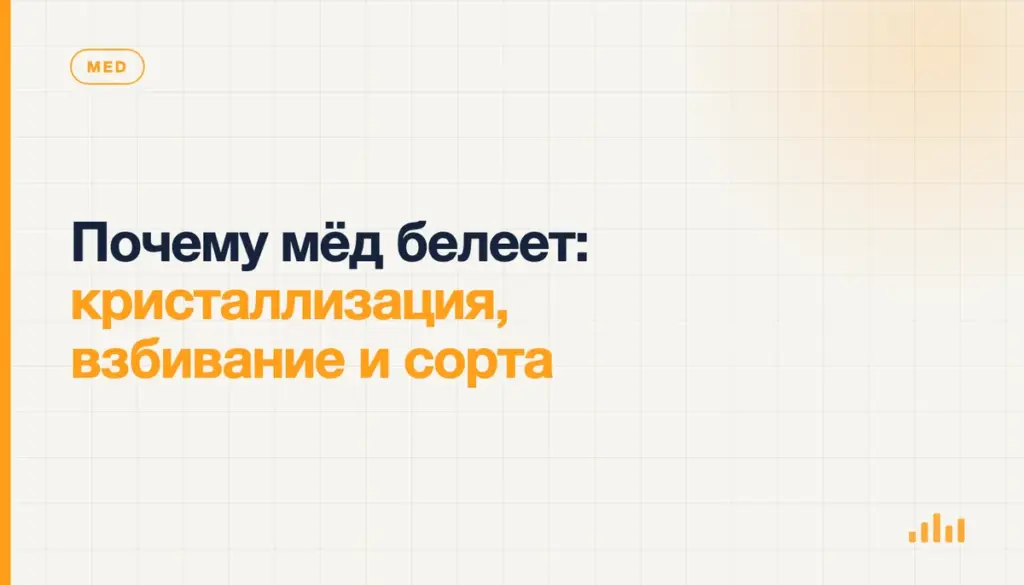Почему мёд белеет: кристаллизация, взбивание и сорта