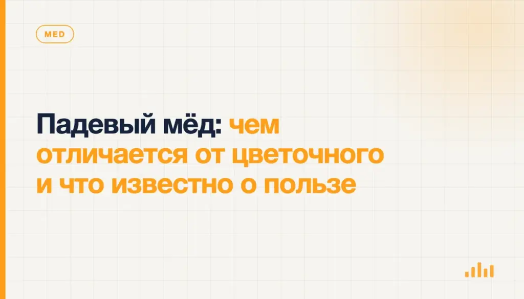 Падевый мёд: чем отличается от цветочного и что известно о пользе